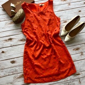 🌸3/$20 Sunburst Orange Geometric Cut Out Shift Dress